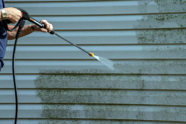 Best Rust Removal  in Gardende, AL
